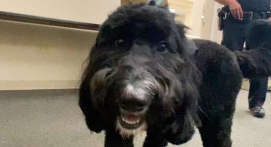 Hope is Coming To First Responders in West Michigan