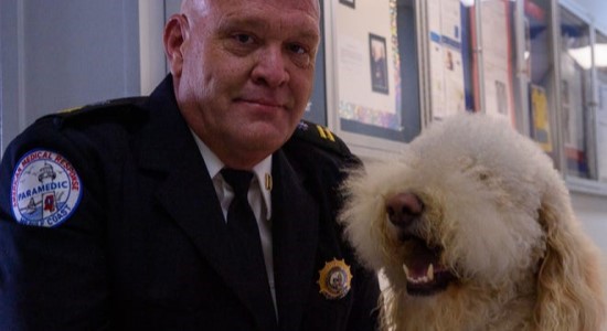 First Responders Face Growing Mental Health Toll Amid Ongoing Pandemic
