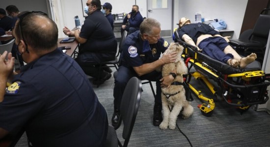 Baxter the Therapy Dog Provides Support to Paramedics