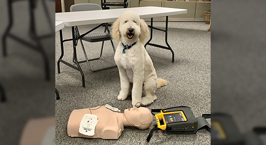 AMR South Mississippi Promotes CPR Safety with AED Donation