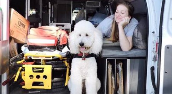 How the Therapy Dog Program is Helping EMS Providers Cope with 'Unimaginable' Stress
